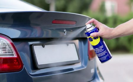 WD-40 na Placa: A Gambiarra Inútil que Vai Te Custar Caro